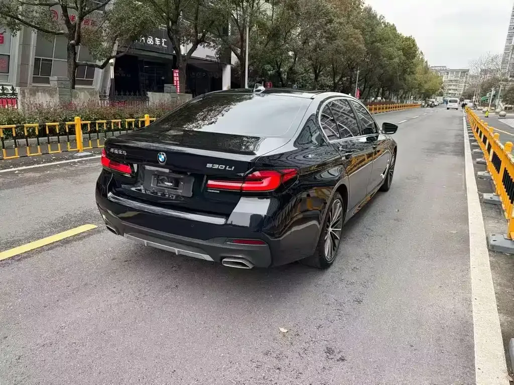 BMW 5 Series 2021 из CN, фото 6