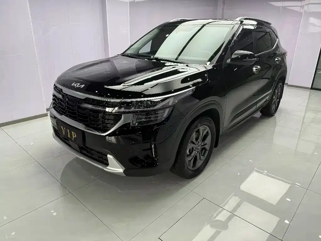 Kia Seltos 2023 из CN, фото 1