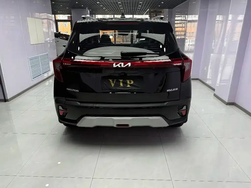 Kia Seltos 2023 из CN, фото 2