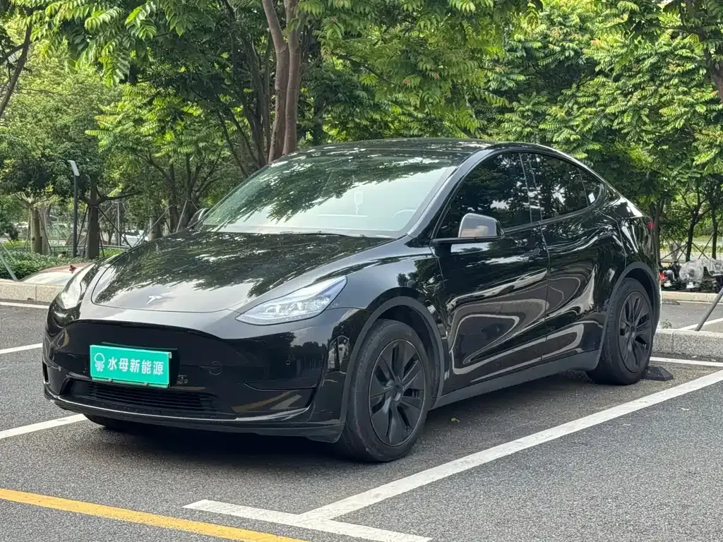 Tesla Model Y 2023 из CN, фото 1
