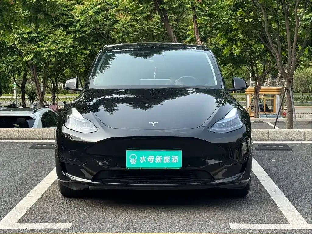 Tesla Model Y 2023 из CN, фото 9