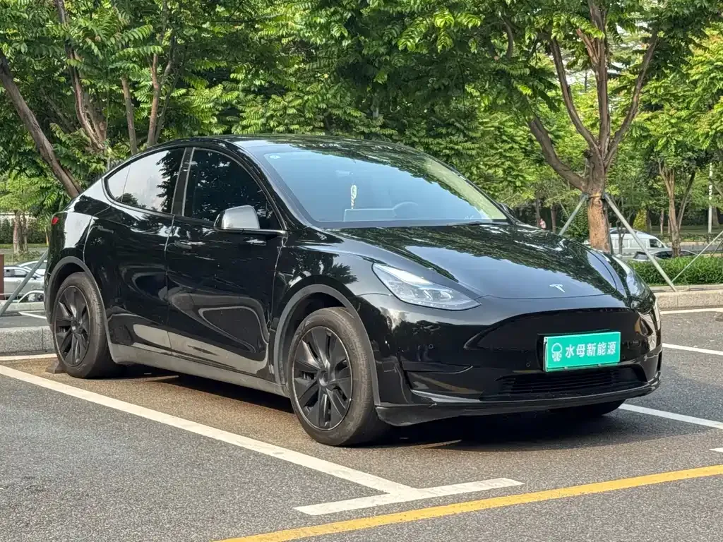Tesla Model Y 2023 из CN, фото 6