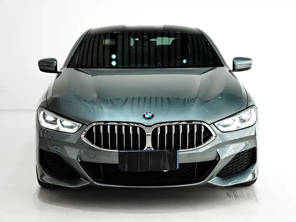 BMW 8 Series 2021 из CN, фото 6
