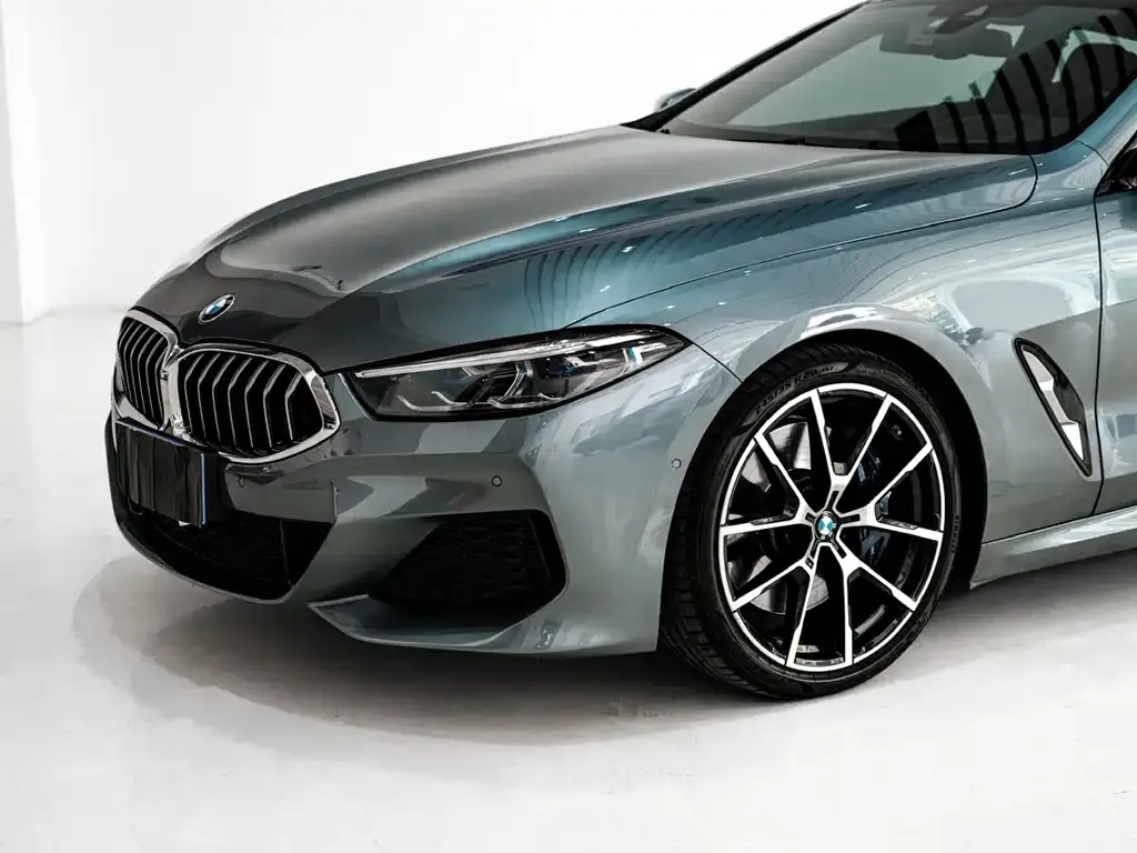 BMW 8 Series 2021 из CN, фото 9