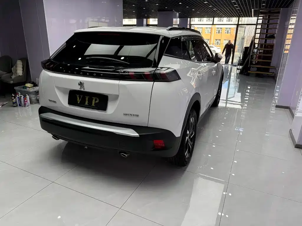 Peugeot 2008 2022 из CN, фото 8