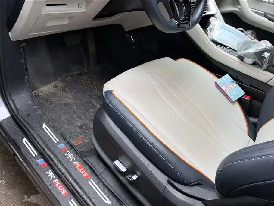 BYD PLUS New Energy 2023 из CN, фото 10