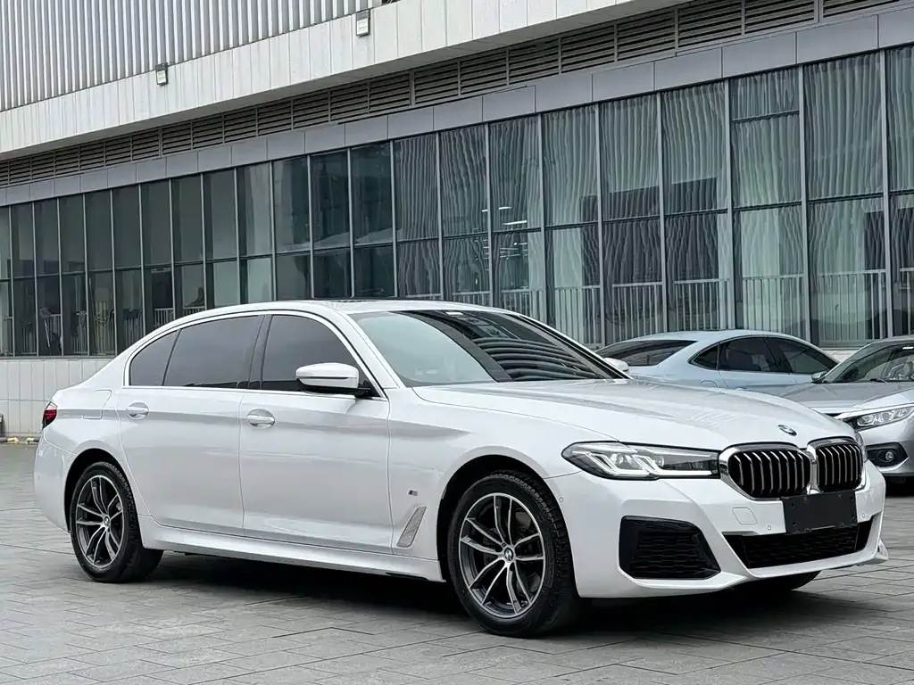 BMW 5 Series 2023 из CN, фото 9