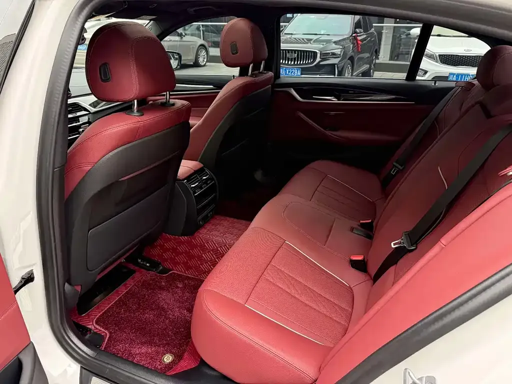 BMW 5 Series 2023 из CN, фото 7