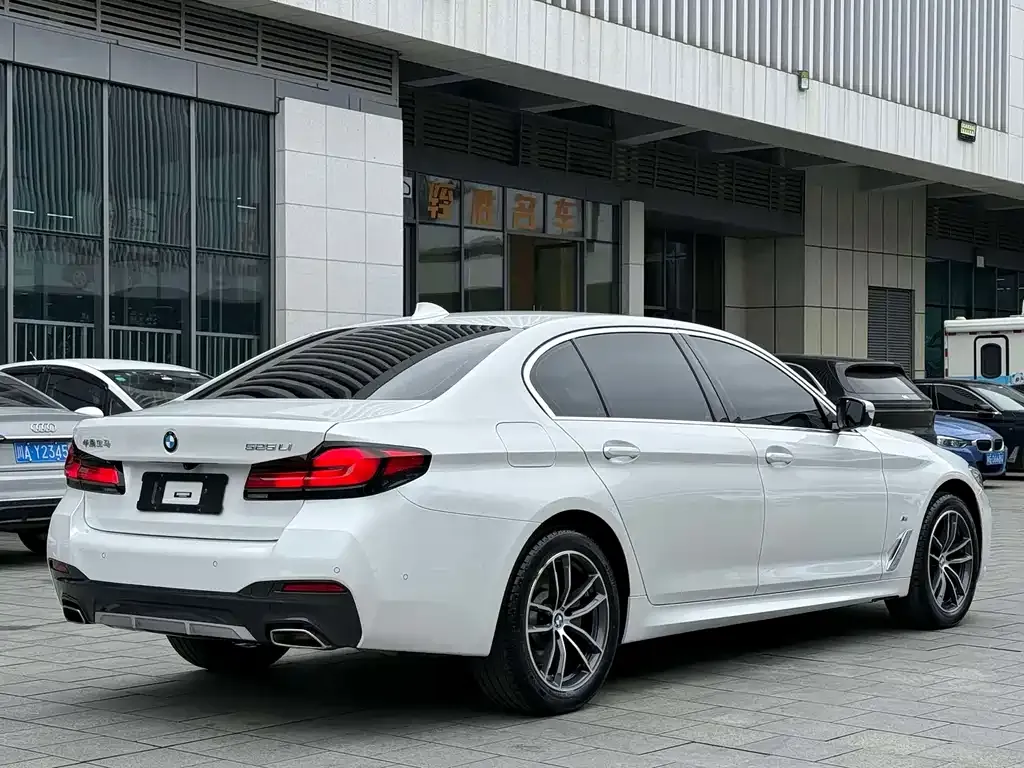 BMW 5 Series 2023 из CN, фото 4