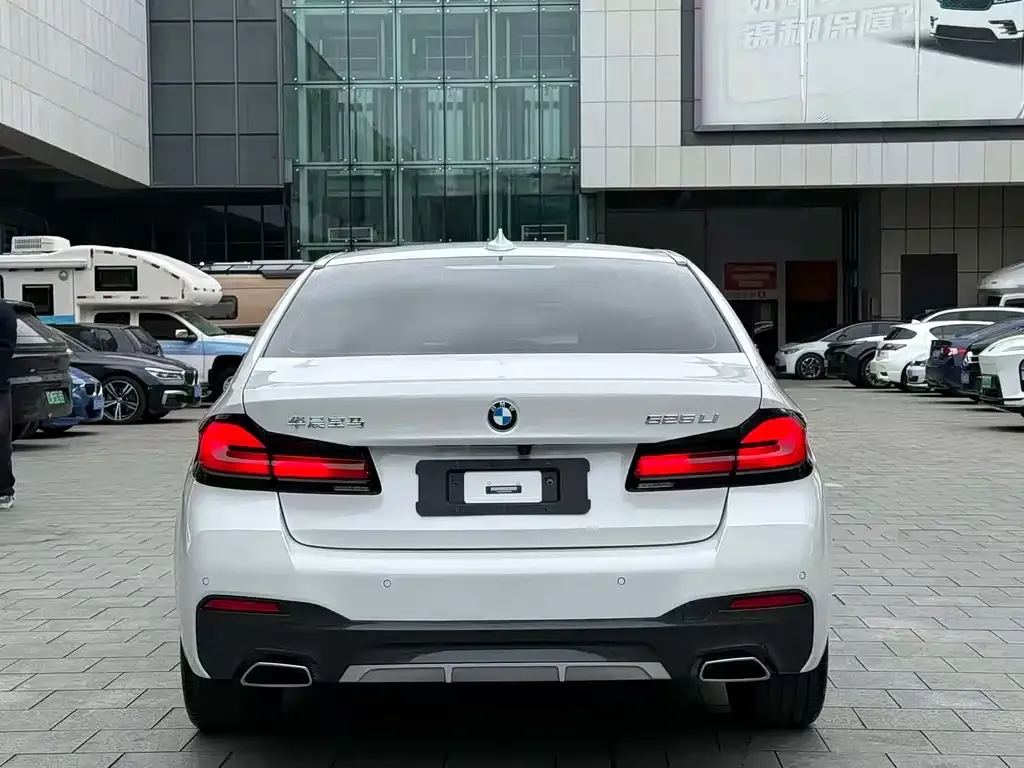 BMW 5 Series 2023 из CN, фото 2