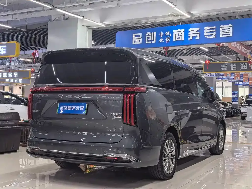 Wey Gaoshan 2025 из CN, фото 6