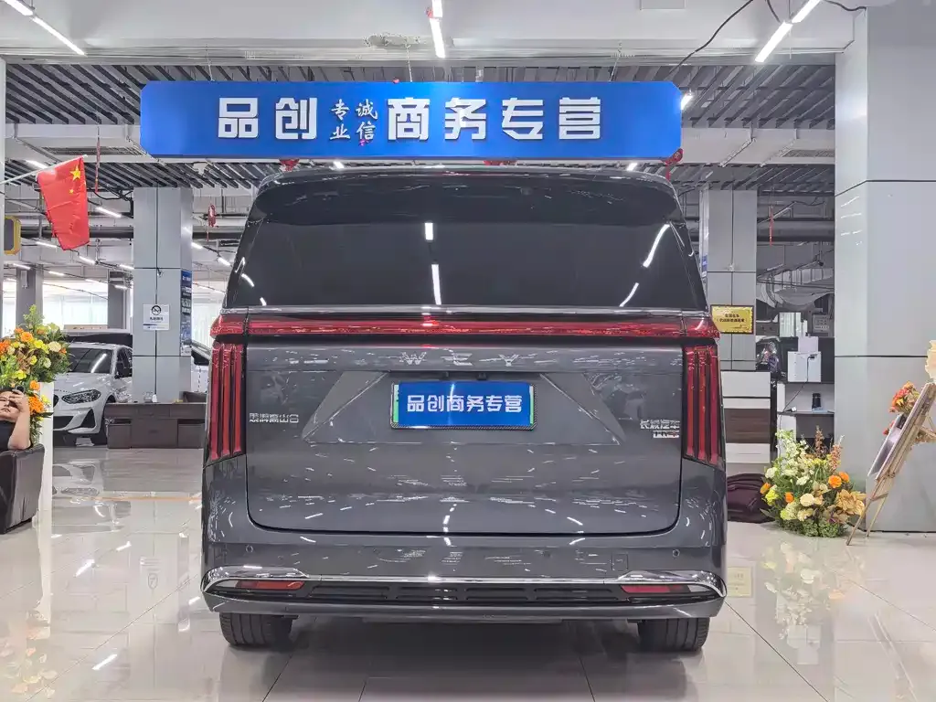 Wey Gaoshan 2025 из CN, фото 3