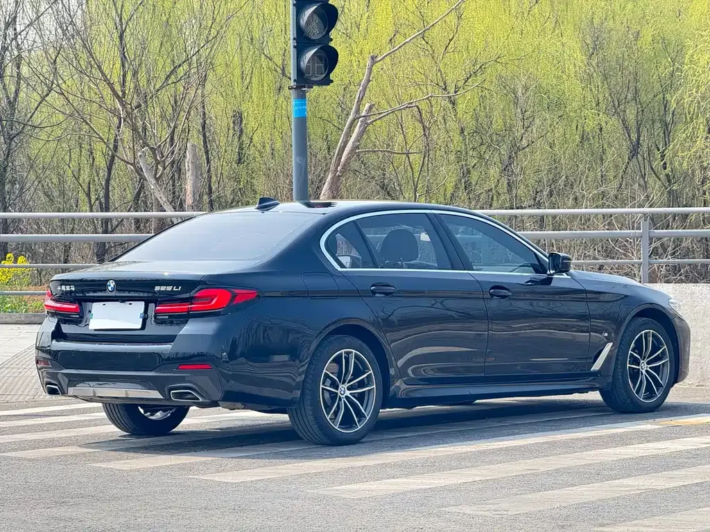 BMW 5 Series 2022 из CN, фото 6