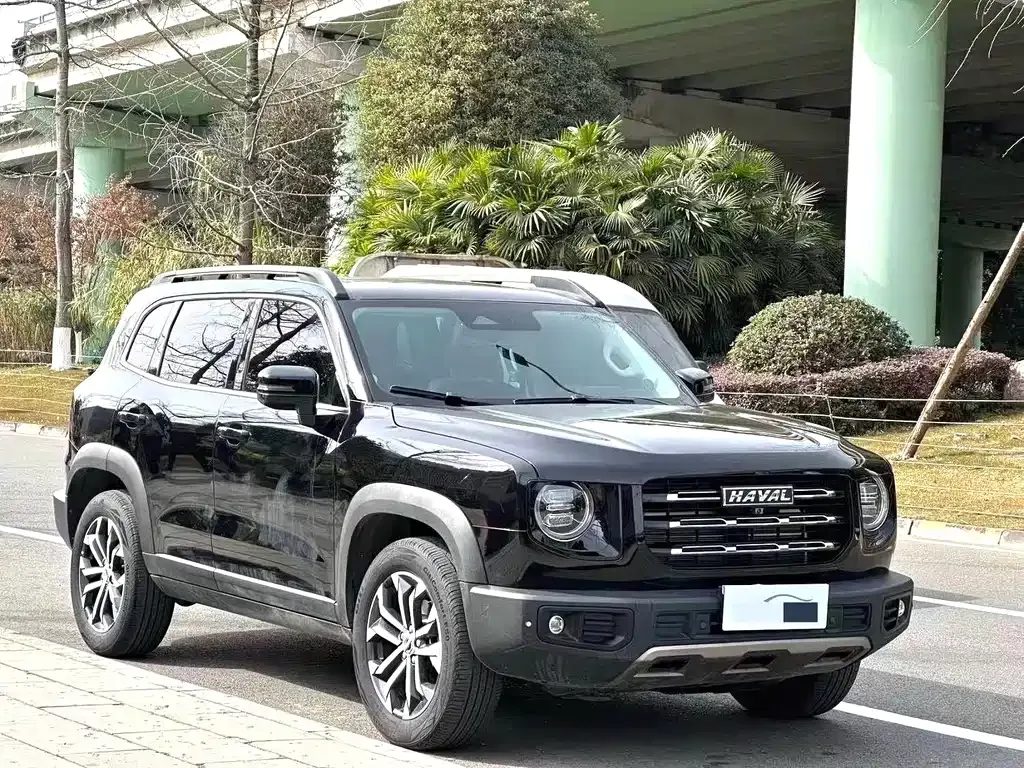 Haval Big Dog 2023 из CN, фото 9