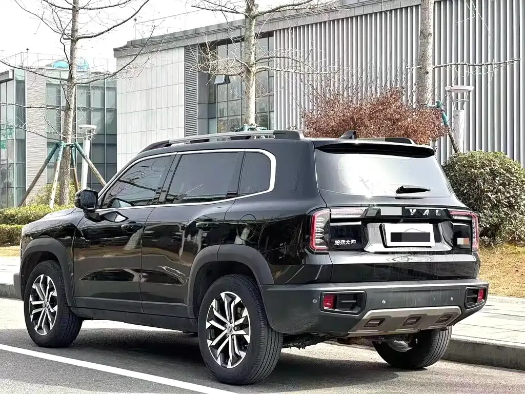 Haval Big Dog 2023 из CN, фото 10