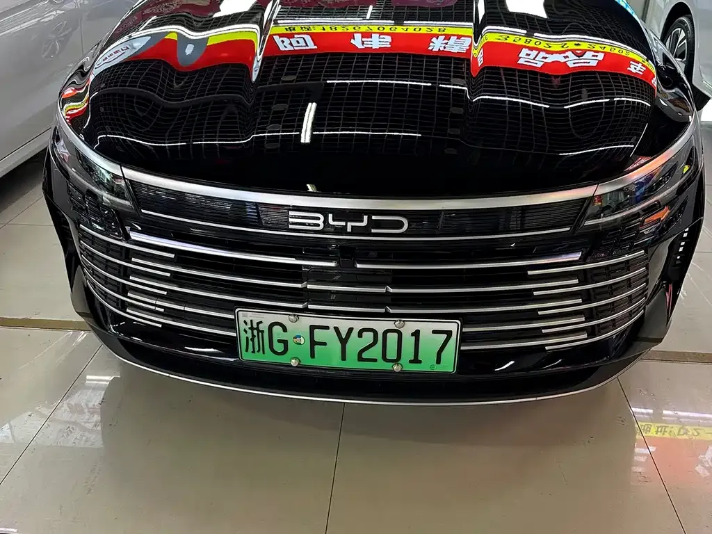 BYD Destroyer 05 2024 из CN, фото 4