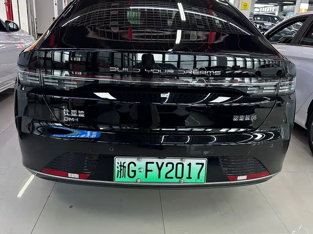 BYD Destroyer 05 2024 из CN, фото 7