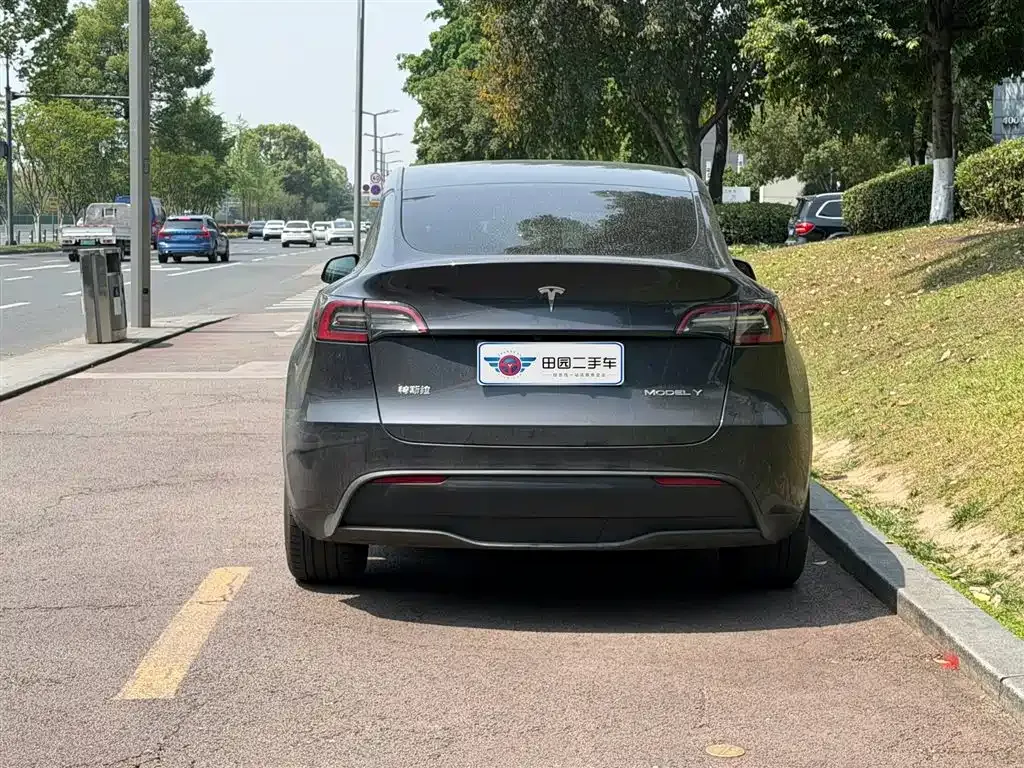 Tesla Model Y 2024 из CN, фото 6