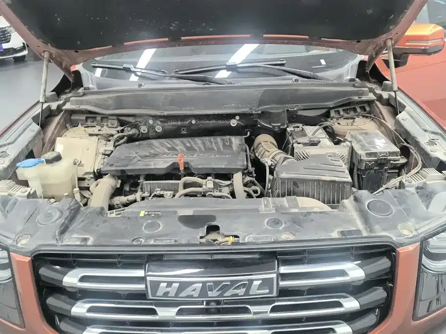 Haval Big Dog — фото 10