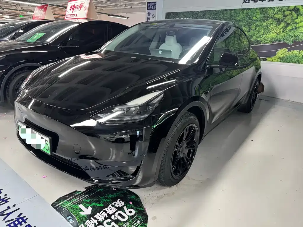Tesla Model Y — фото 10