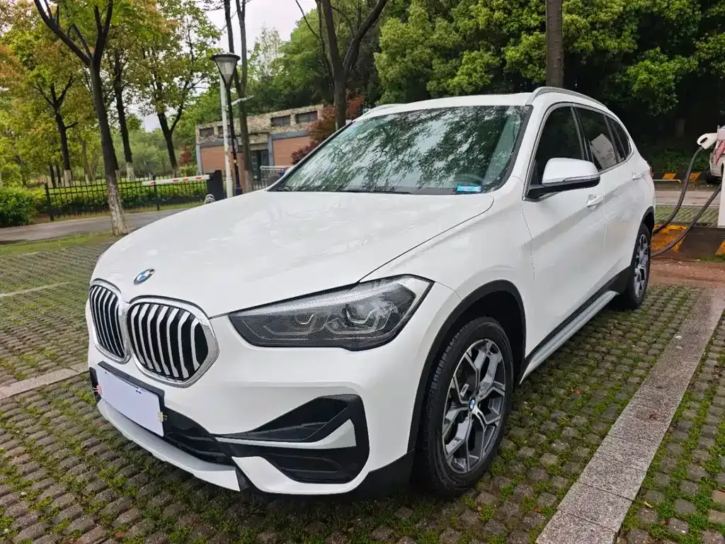 BMW X1 — фото 1