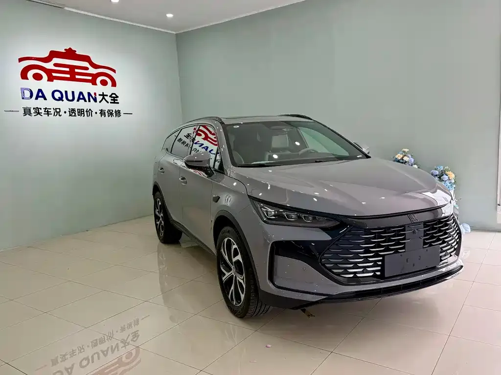 BYD Tang New Energy — фото 10