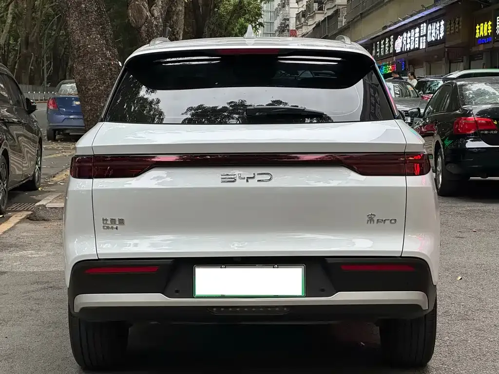 BYD Pro New Energy — фото 7