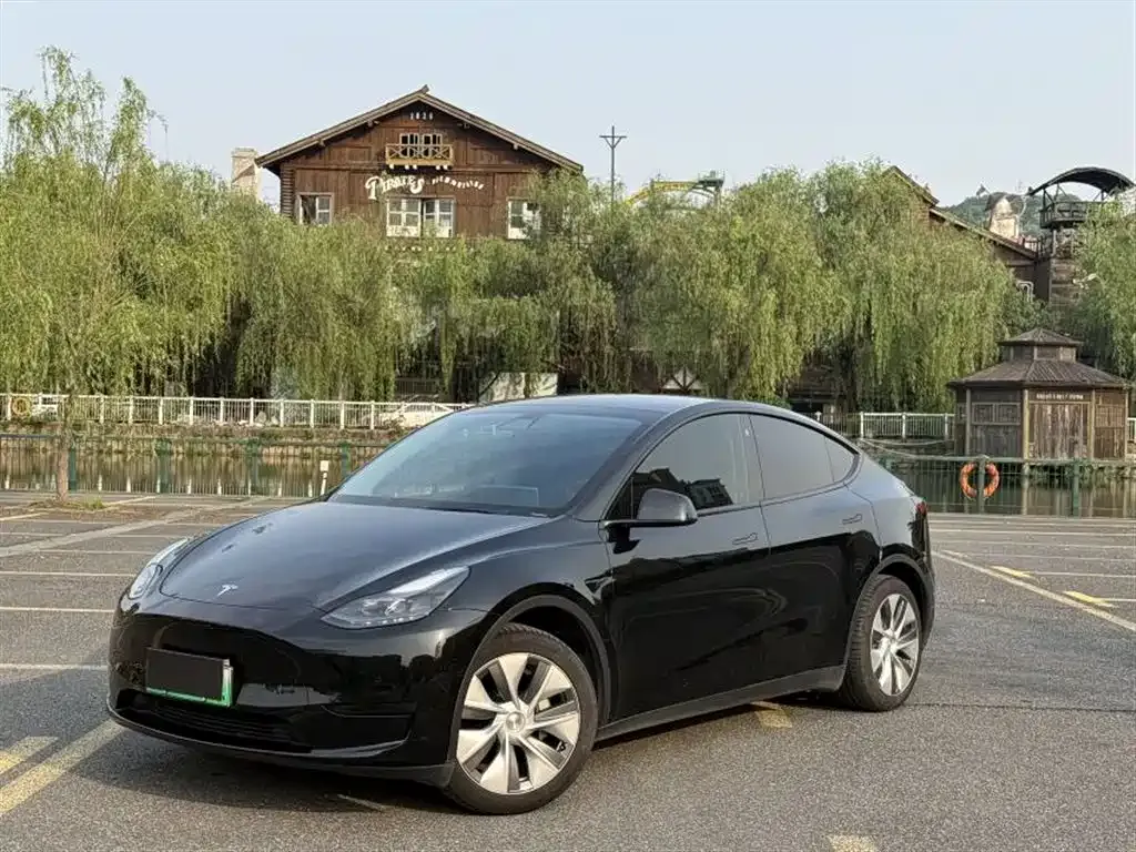 Tesla Model Y 2022 из CN, фото 1