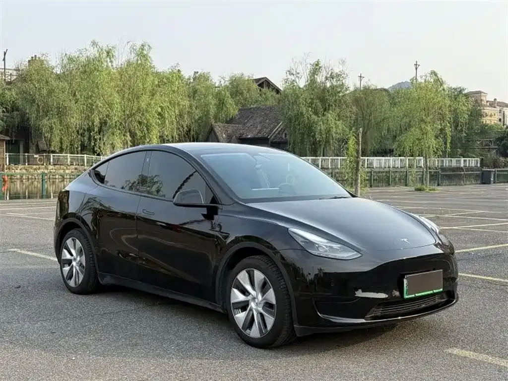Tesla Model Y 2022 из CN, фото 6