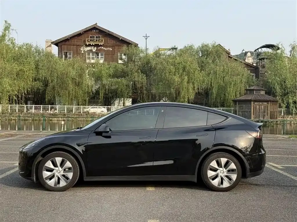 Tesla Model Y 2022 из CN, фото 7
