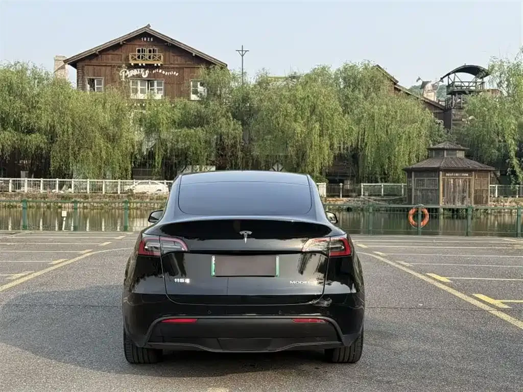 Tesla Model Y 2022 из CN, фото 5