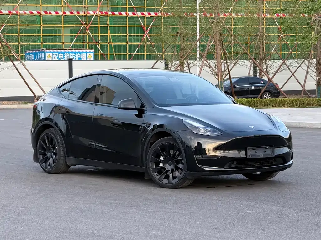Tesla Model Y — фото 10