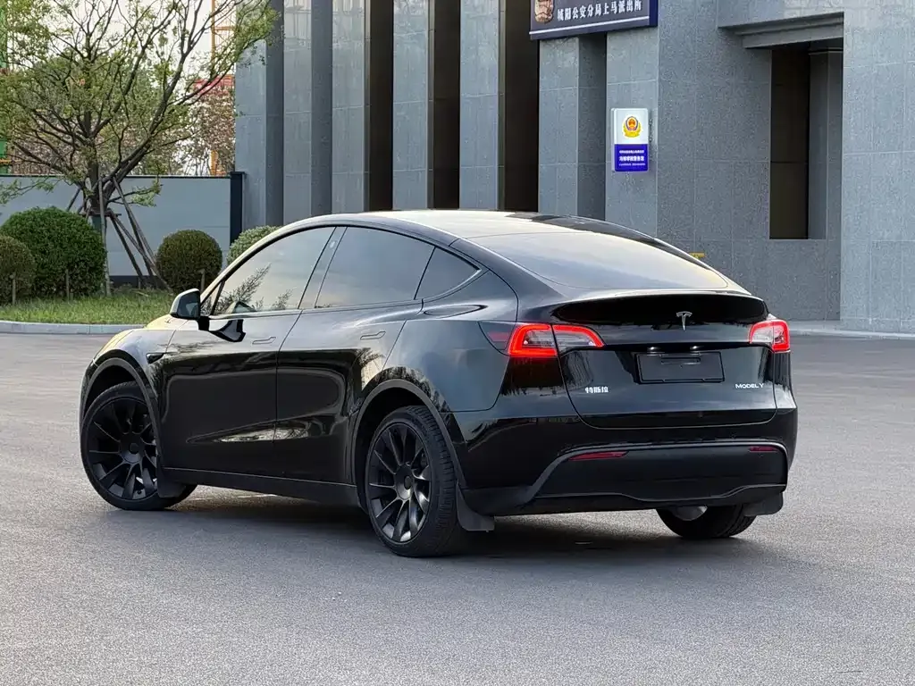 Tesla Model Y — фото 6
