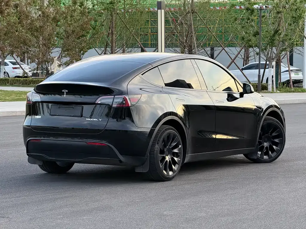 Tesla Model Y — фото 3