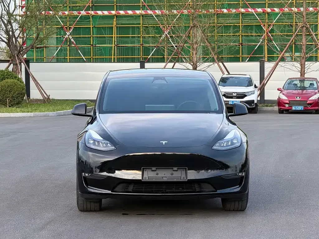 Tesla Model Y — фото 8
