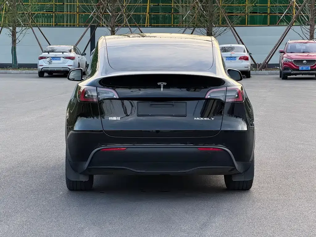 Tesla Model Y — фото 5