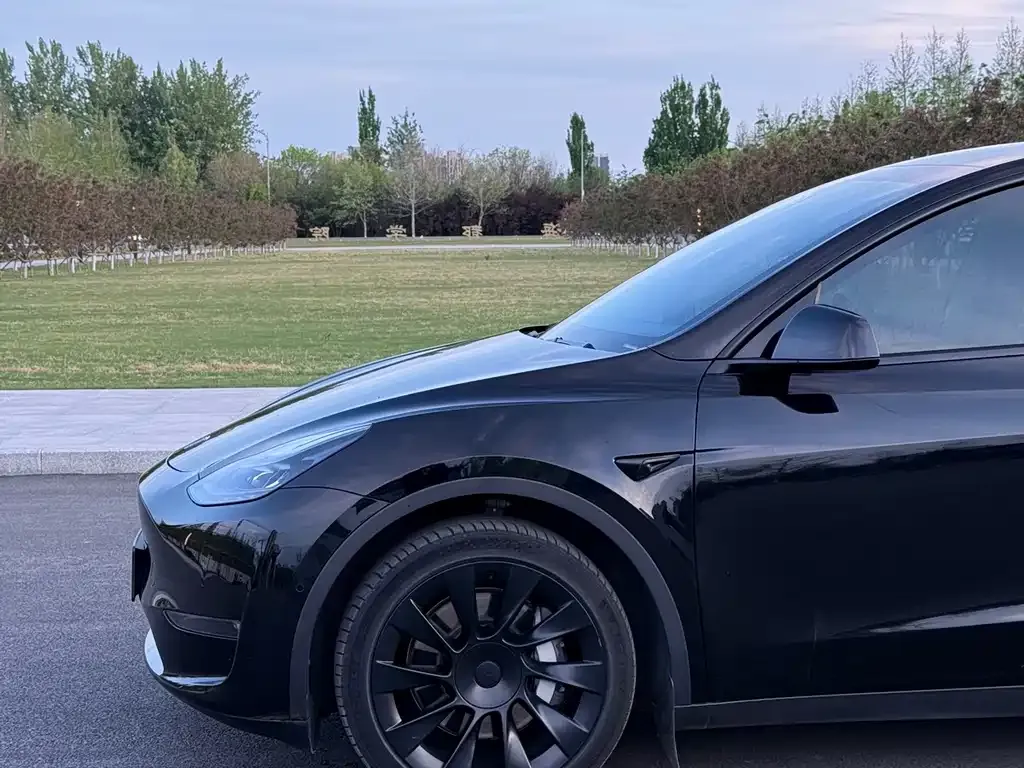 Tesla Model Y — фото 2