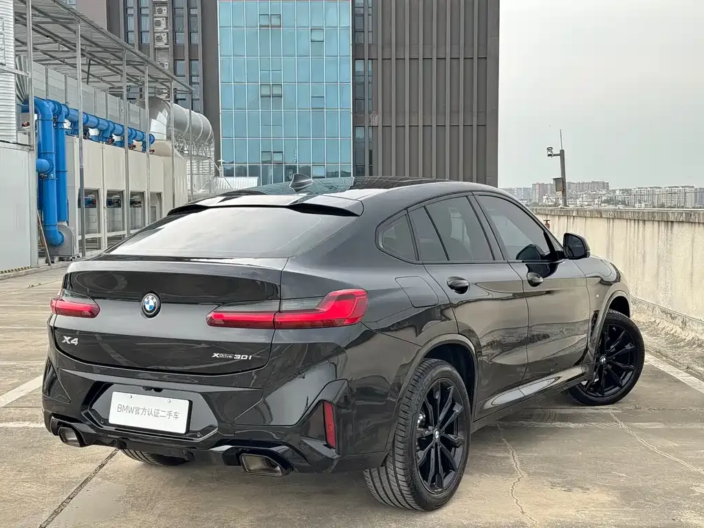 BMW X4 2024 из CN, фото 6