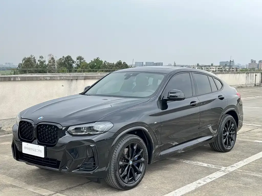 BMW X4 2024 из CN, фото 2