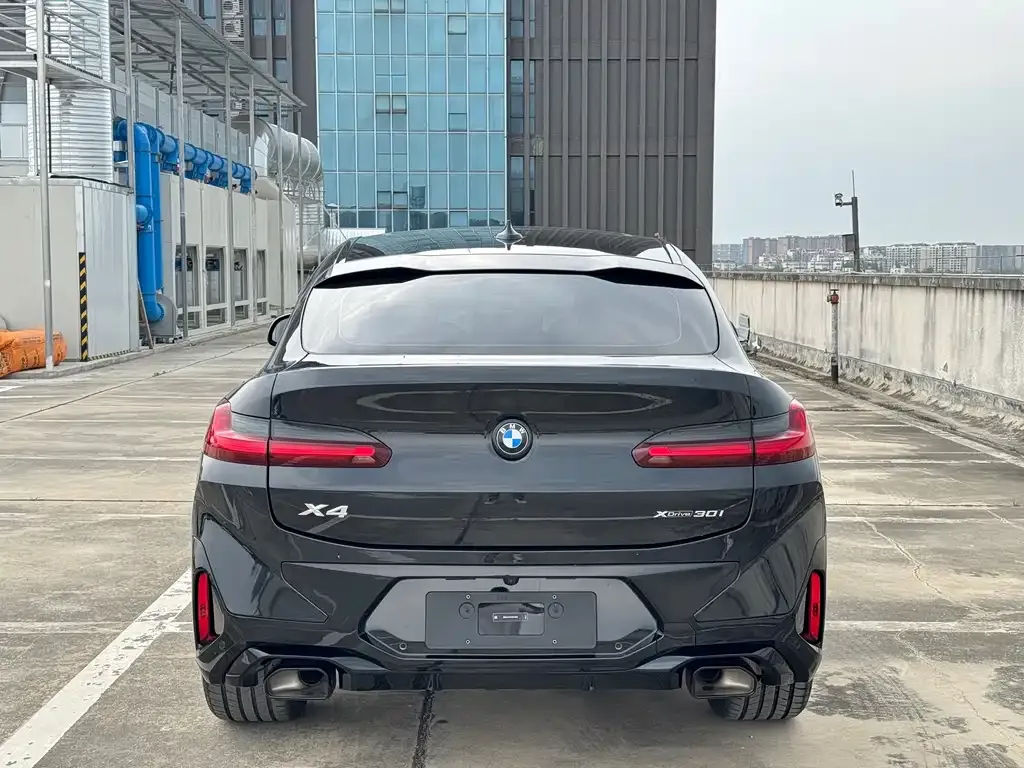 BMW X4 2024 из CN, фото 4