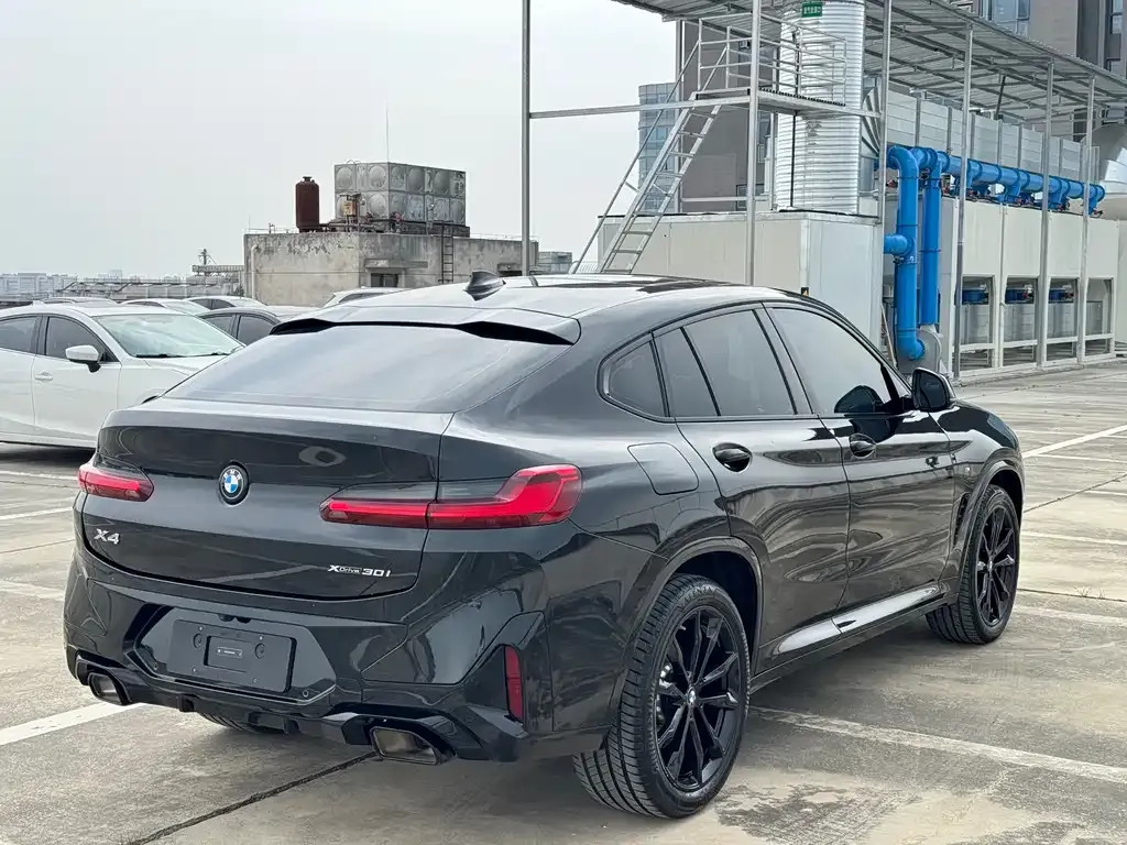BMW X4 2024 из CN, фото 5