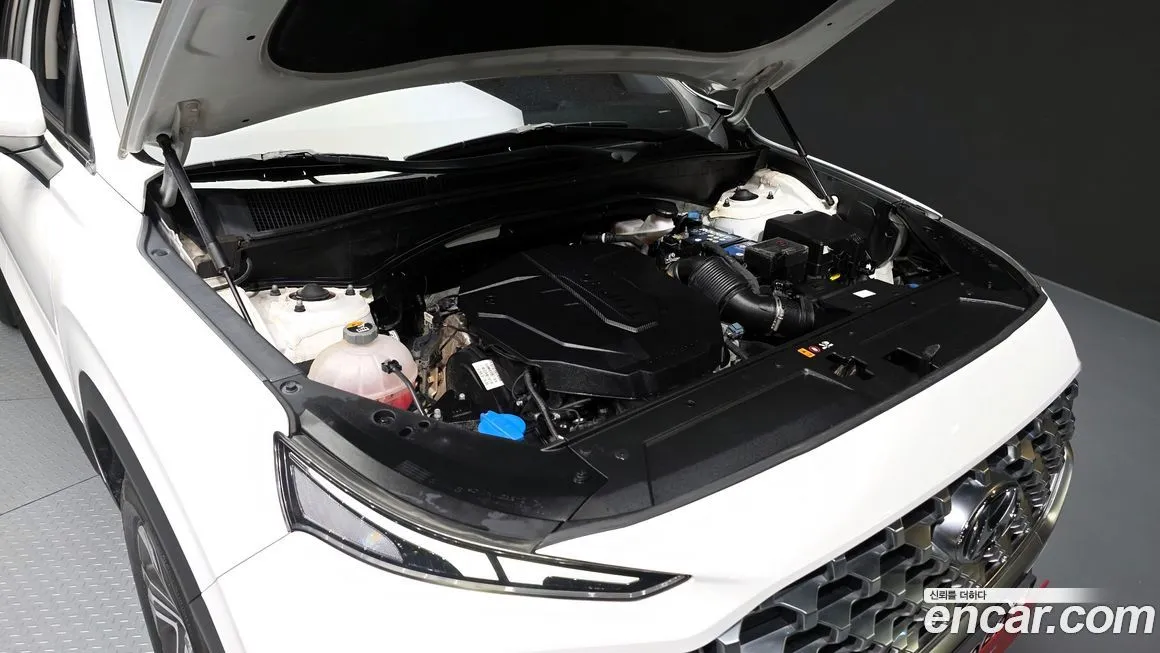 Hyundai Santafe 2021 из KR, фото 6