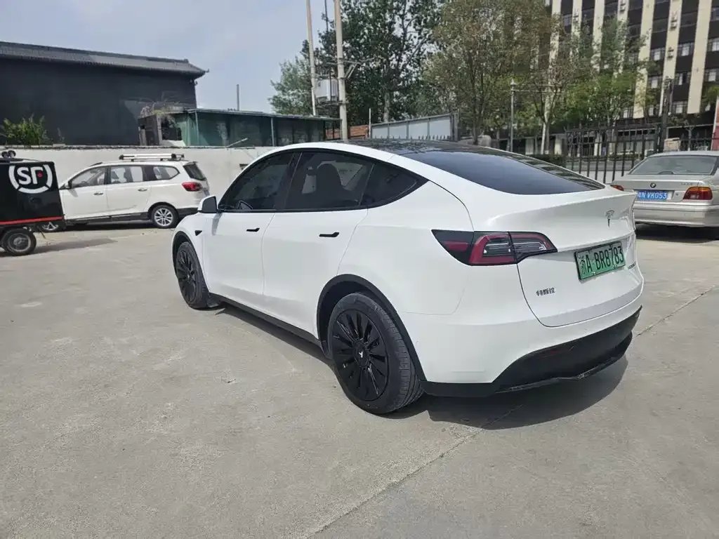 Tesla Model Y 2023 из CN, фото 9