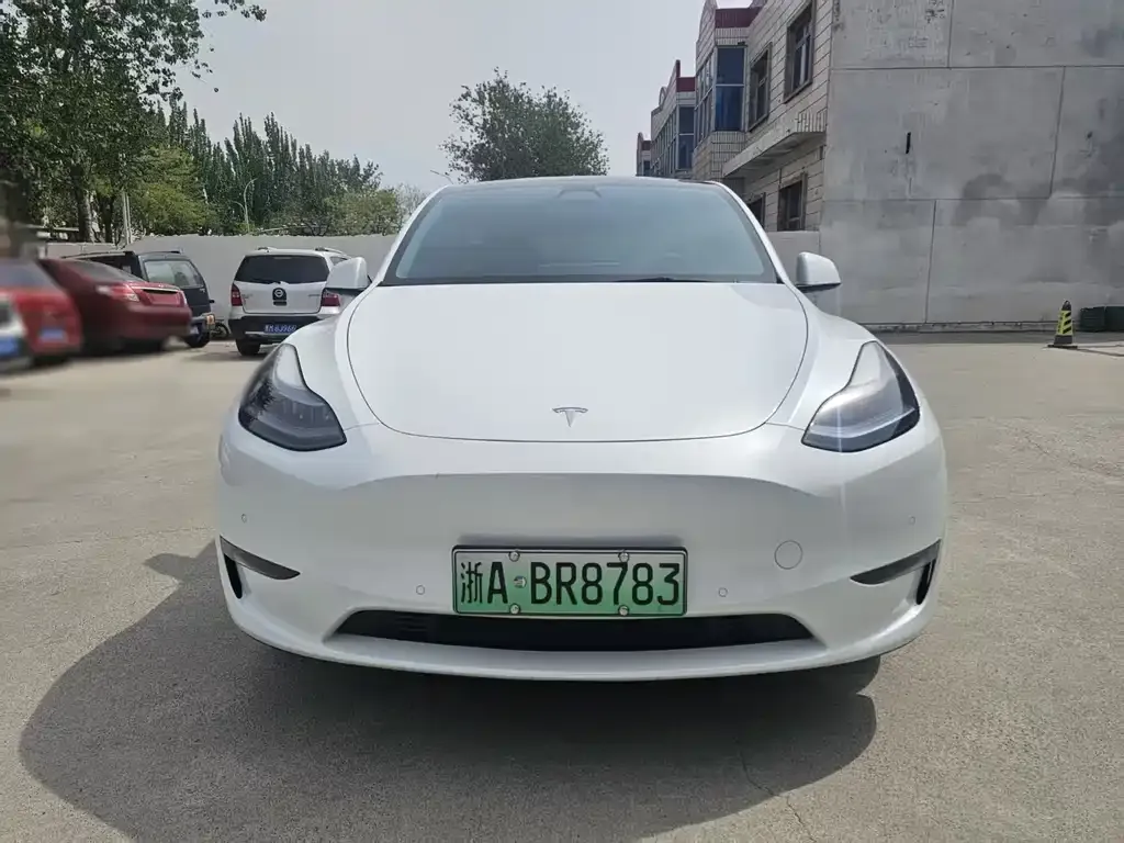 Tesla Model Y 2023 из CN, фото 6