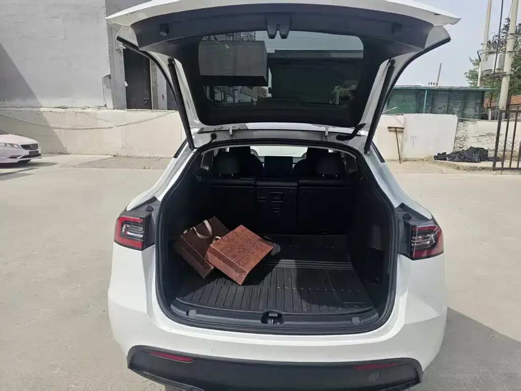 Tesla Model Y 2023 из CN, фото 5