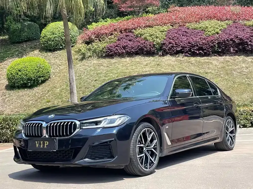 BMW 5 Series 2023 из CN, фото 1
