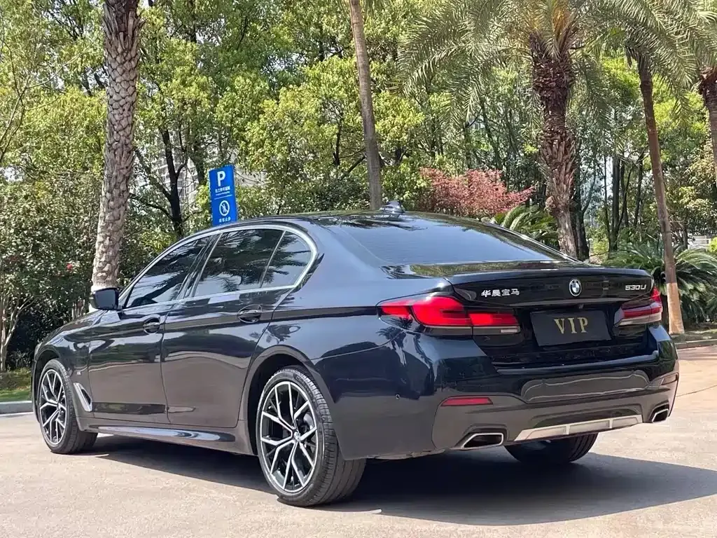 BMW 5 Series 2023 из CN, фото 7