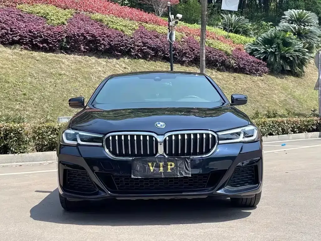 BMW 5 Series 2023 из CN, фото 8
