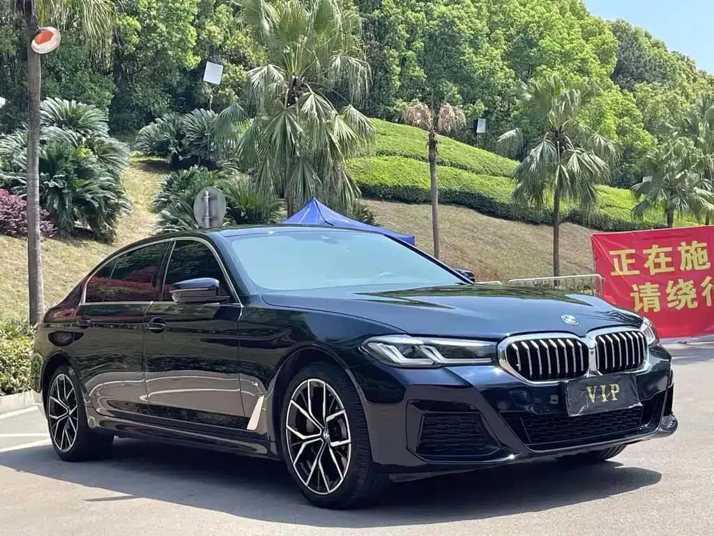BMW 5 Series 2023 из CN, фото 9