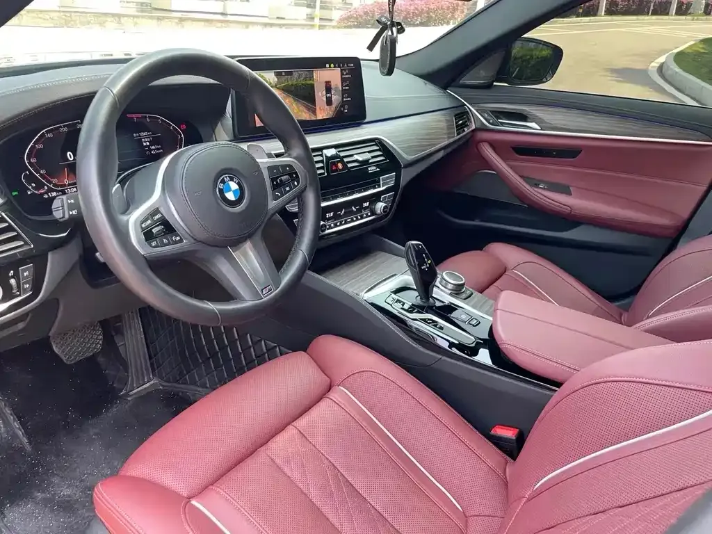 BMW 5 Series 2023 из CN, фото 6